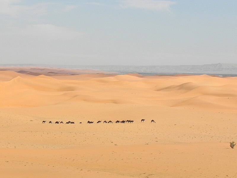 Photo of Arabia