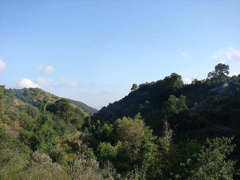 Photo of Beyond the River