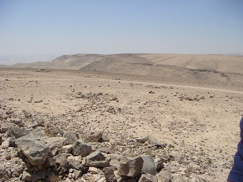 Photo of Negeb