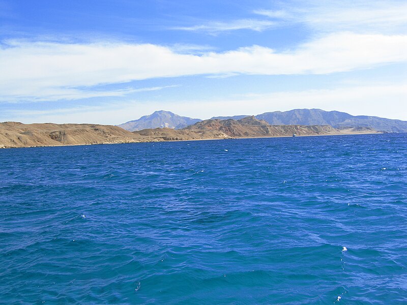 Photo of Red Sea
